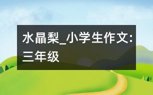 水晶梨_小學(xué)生作文:三年級(jí)