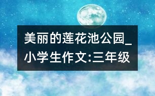 美麗的蓮花池公園_小學生作文:三年級