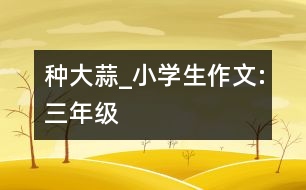 種大蒜_小學(xué)生作文:三年級