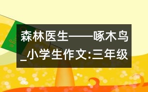 森林醫(yī)生――啄木鳥(niǎo)_小學(xué)生作文:三年級(jí)