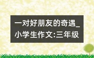 一對好朋友的奇遇_小學(xué)生作文:三年級
