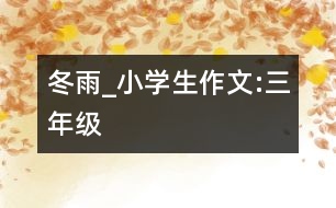 冬雨_小學(xué)生作文:三年級(jí)