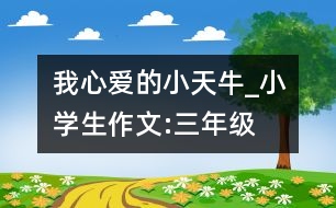 我心愛(ài)的小天牛_小學(xué)生作文:三年級(jí)