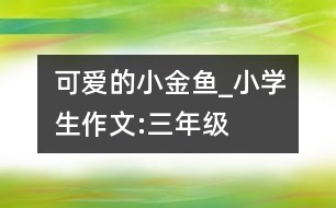 可愛的小金魚_小學(xué)生作文:三年級