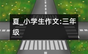 夏_小學生作文:三年級