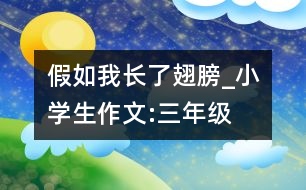 假如我長了翅膀_小學生作文:三年級