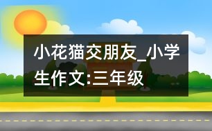 小花貓交朋友_小學(xué)生作文:三年級