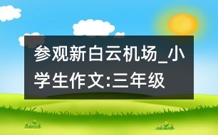 參觀新白云機(jī)場_小學(xué)生作文:三年級(jí)