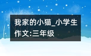 我家的小貓_小學(xué)生作文:三年級