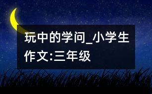 玩中的學問_小學生作文:三年級