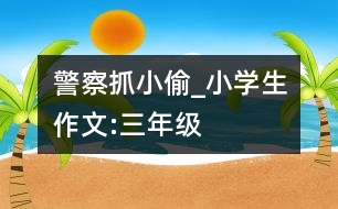 “警察抓小偷”_小學(xué)生作文:三年級(jí)