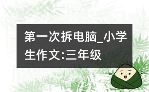 第一次拆電腦_小學(xué)生作文:三年級