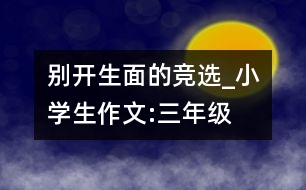 別開生面的競選_小學生作文:三年級