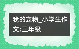 我的寵物_小學(xué)生作文:三年級