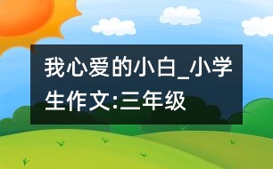 我心愛的小白_小學(xué)生作文:三年級
