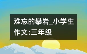 難忘的攀巖_小學(xué)生作文:三年級(jí)