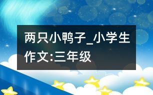 兩只小鴨子_小學生作文:三年級