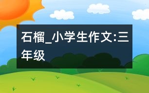 石榴_小學生作文:三年級