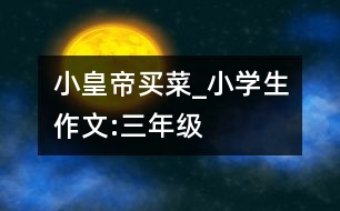 “小皇帝”買菜_小學(xué)生作文:三年級