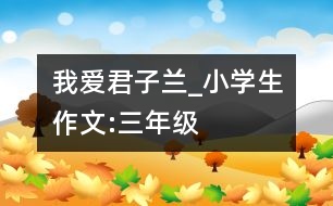 我愛君子蘭_小學(xué)生作文:三年級