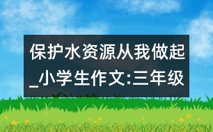 保護水資源從我做起_小學(xué)生作文:三年級