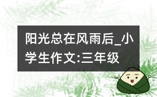陽光總在風雨后_小學生作文:三年級
