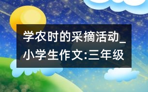 學農時的采摘活動_小學生作文:三年級