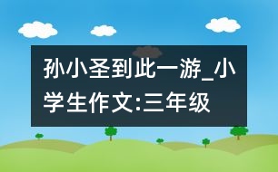 孫小圣到此一游_小學生作文:三年級