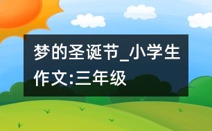 夢的圣誕節(jié)_小學生作文:三年級
