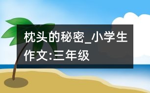 枕頭的秘密_小學生作文:三年級