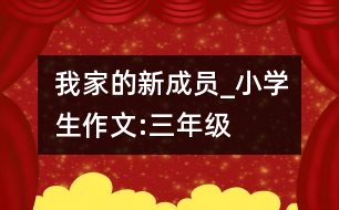 我家的新成員_小學生作文:三年級