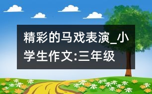 精彩的馬戲表演_小學(xué)生作文:三年級