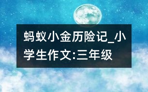 螞蟻小金歷險記_小學(xué)生作文:三年級