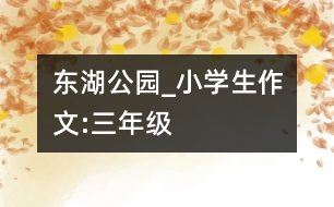 東湖公園_小學(xué)生作文:三年級(jí)