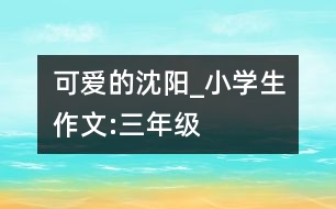 可愛(ài)的沈陽(yáng)_小學(xué)生作文:三年級(jí)