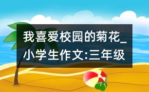 我喜愛校園的菊花_小學(xué)生作文:三年級