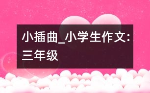 小插曲_小學生作文:三年級