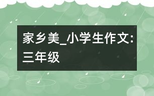 家鄉(xiāng)美_小學(xué)生作文:三年級