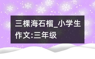 三棵海石榴_小學生作文:三年級