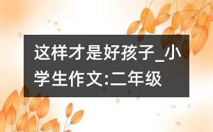 這樣才是好孩子_小學(xué)生作文:二年級