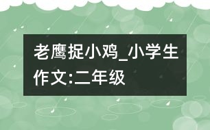 老鷹捉小雞_小學生作文:二年級