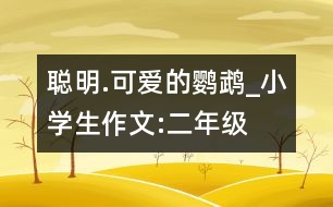聰明.可愛(ài)的鸚鵡_小學(xué)生作文:二年級(jí)
