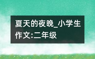 夏天的夜晚_小學生作文:二年級