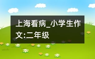 上?？床小學(xué)生作文:二年級(jí)