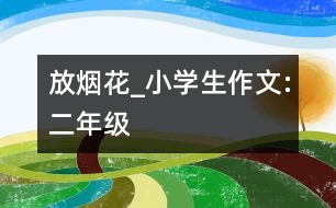 放煙花_小學(xué)生作文:二年級(jí)