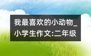 我最喜歡的小動(dòng)物_小學(xué)生作文:二年級(jí)