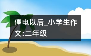 停電以后_小學(xué)生作文:二年級