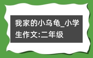 我家的小烏龜_小學(xué)生作文:二年級