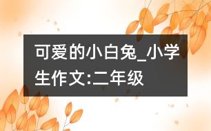 可愛的小白兔_小學生作文:二年級