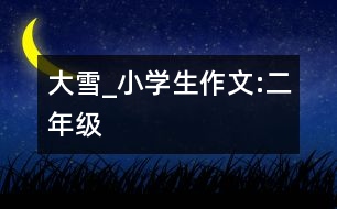 大雪_小學生作文:二年級